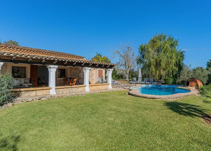 Roig Petit By Vintage Travel